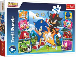 TREFL PUZZLE Ježek Sonic (Sonic the Hedgehog) 41x27cm 100 dílkù skládaèka