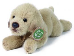 PLY Pes labrador lec 20cm Eco-Friendly - zvtit obrzek