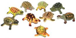 Želvy barevné 5cm set 9ks zvíøátka figurky rùzné druhy v sáèku plast