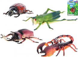 Zvtko hmyz maxi 12-20cm 4 druhy na kart plast - zvtit obrzek